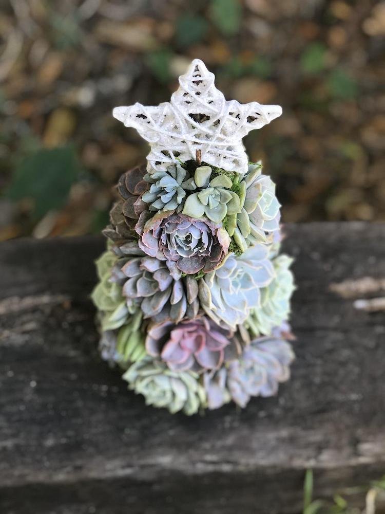 Succulent Christmas Tree