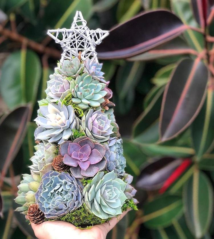 Succulent Christmas Tree