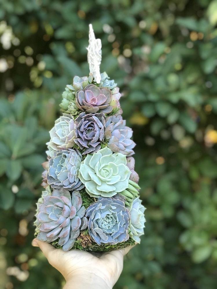 Succulent Christmas Tree