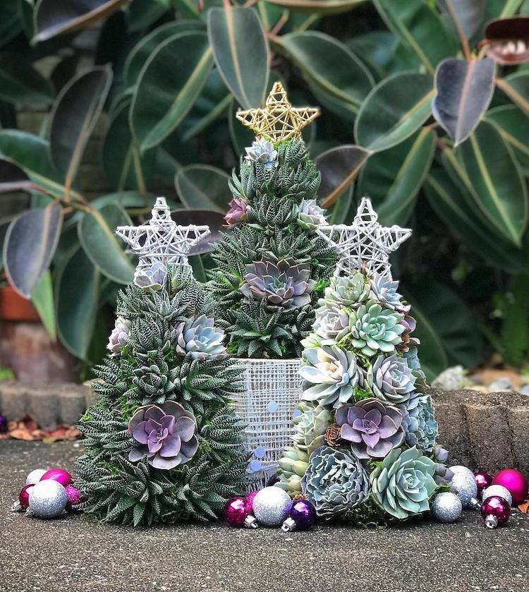 Succulent Christmas Tree