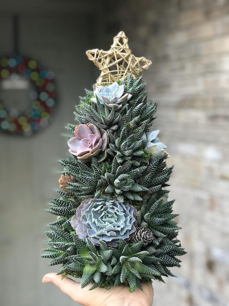 Succulent Christmas Tree