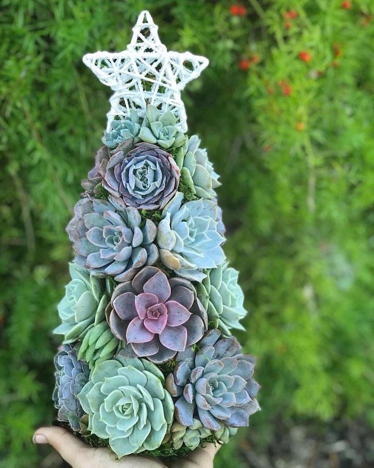 Succulent Christmas Tree