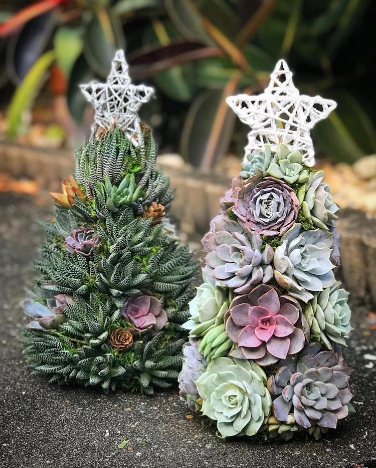 Succulent Christmas Tree