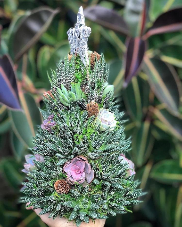 Succulent Christmas Tree