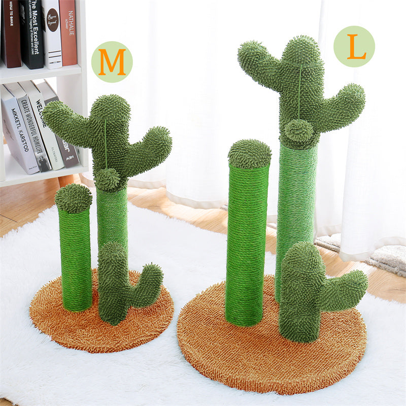 The award winning scratching cactus