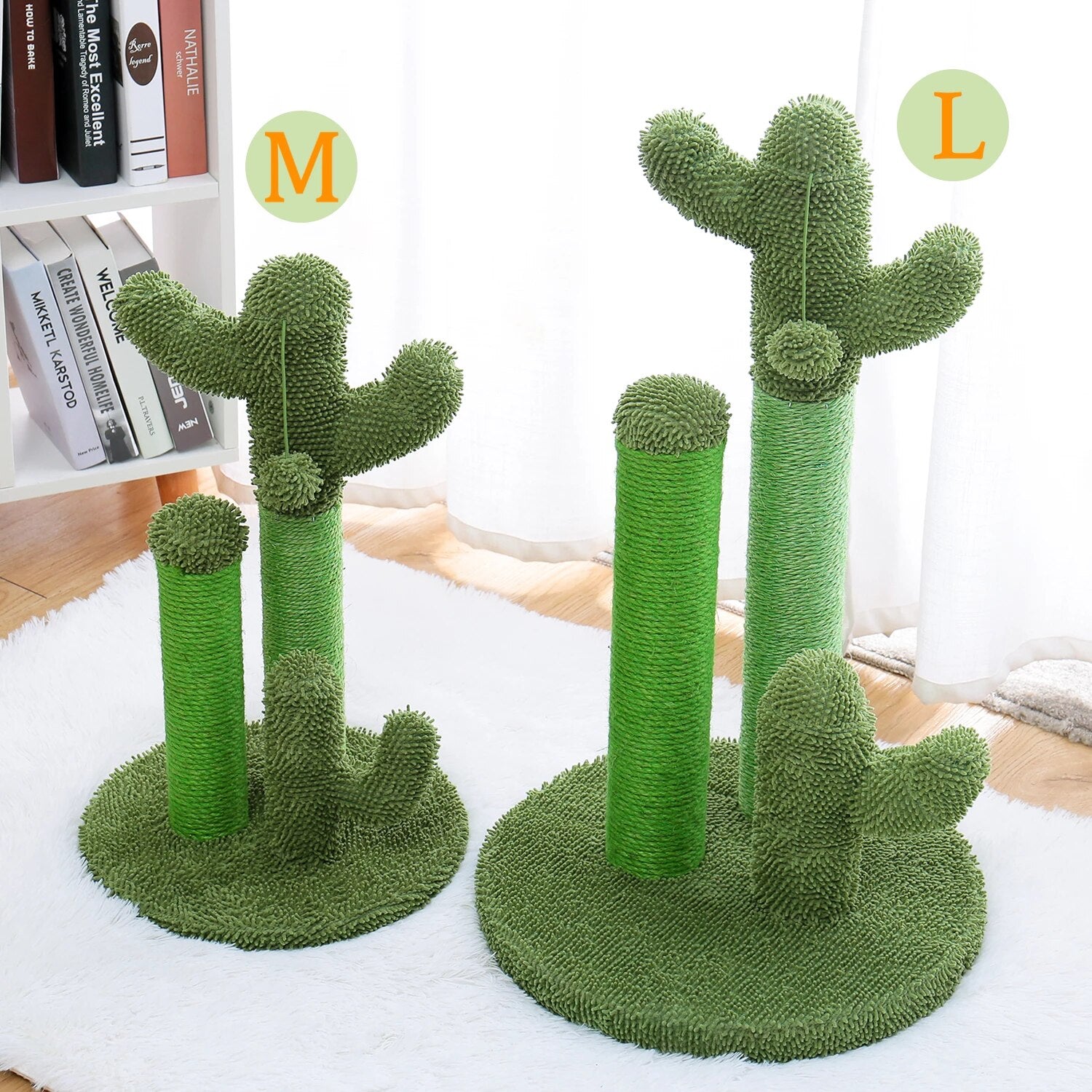 The award winning scratching cactus