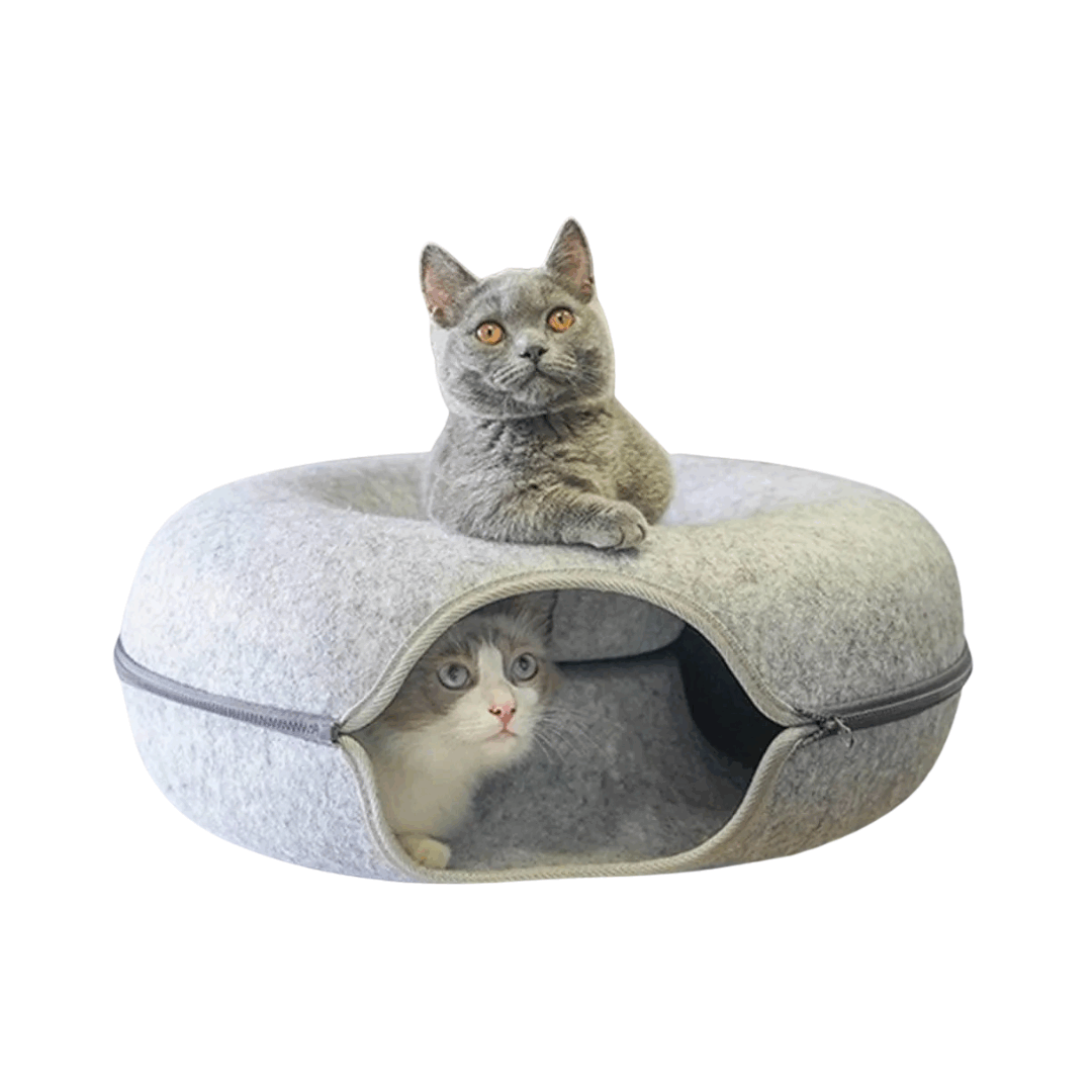 Tunnel Interactive Cat Bed 2.0 - BubblePup