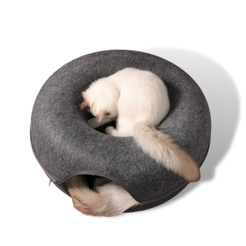 Tunnel Interactive Cat Bed 2.0 - BubblePup