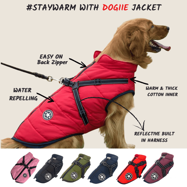 Waterproof Winter Dog Jacket with Built-in Harness