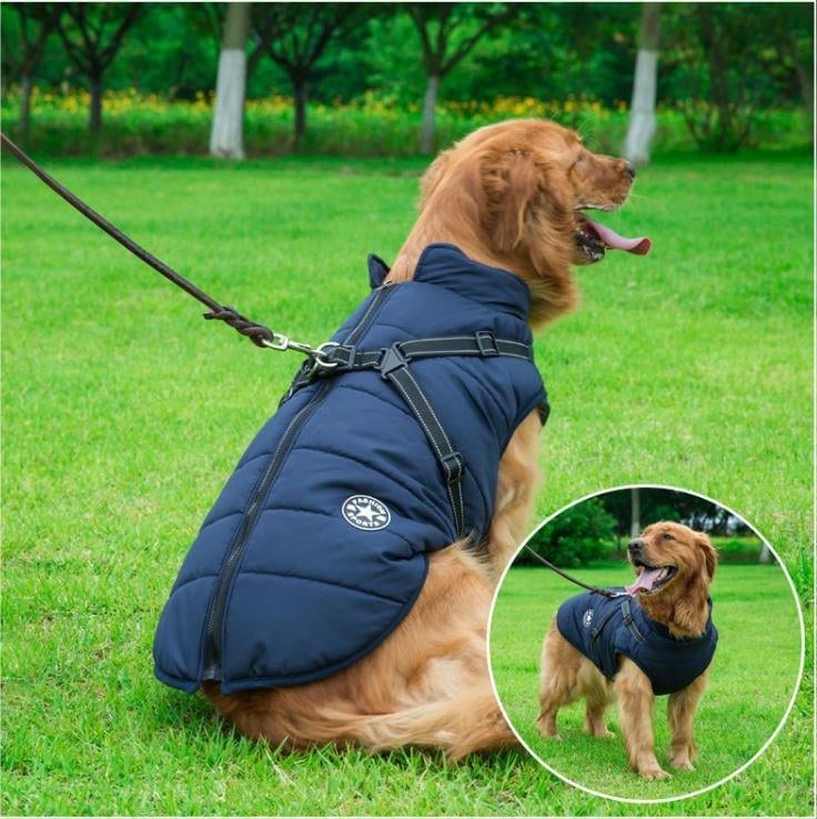 Waterproof Winter Dog Jacket with Built-in Harness