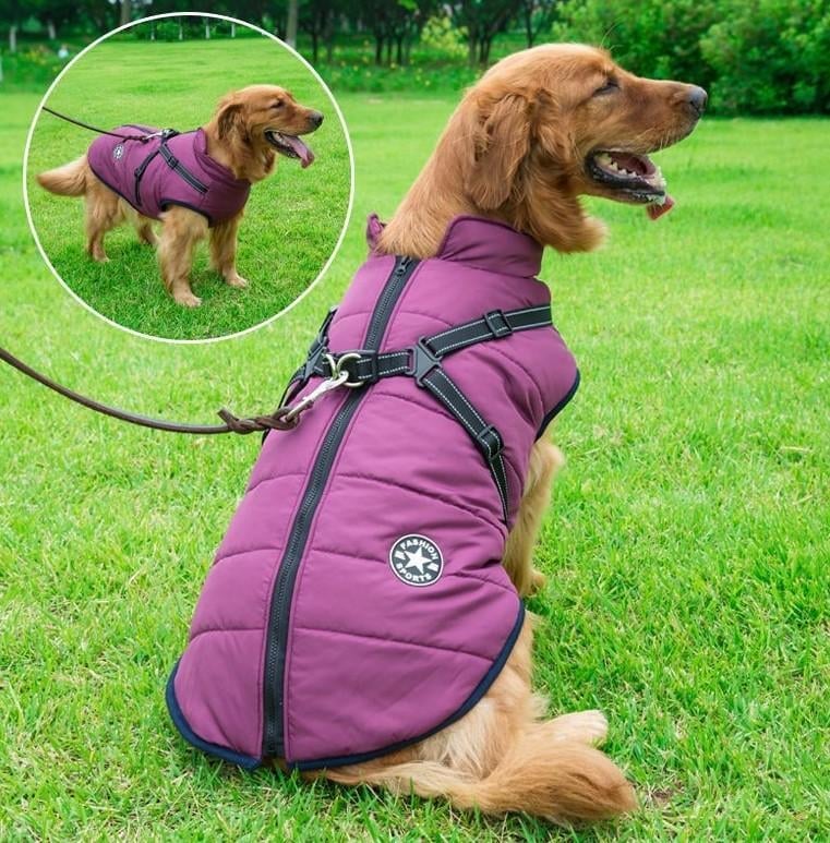 Waterproof Winter Dog Jacket with Built-in Harness