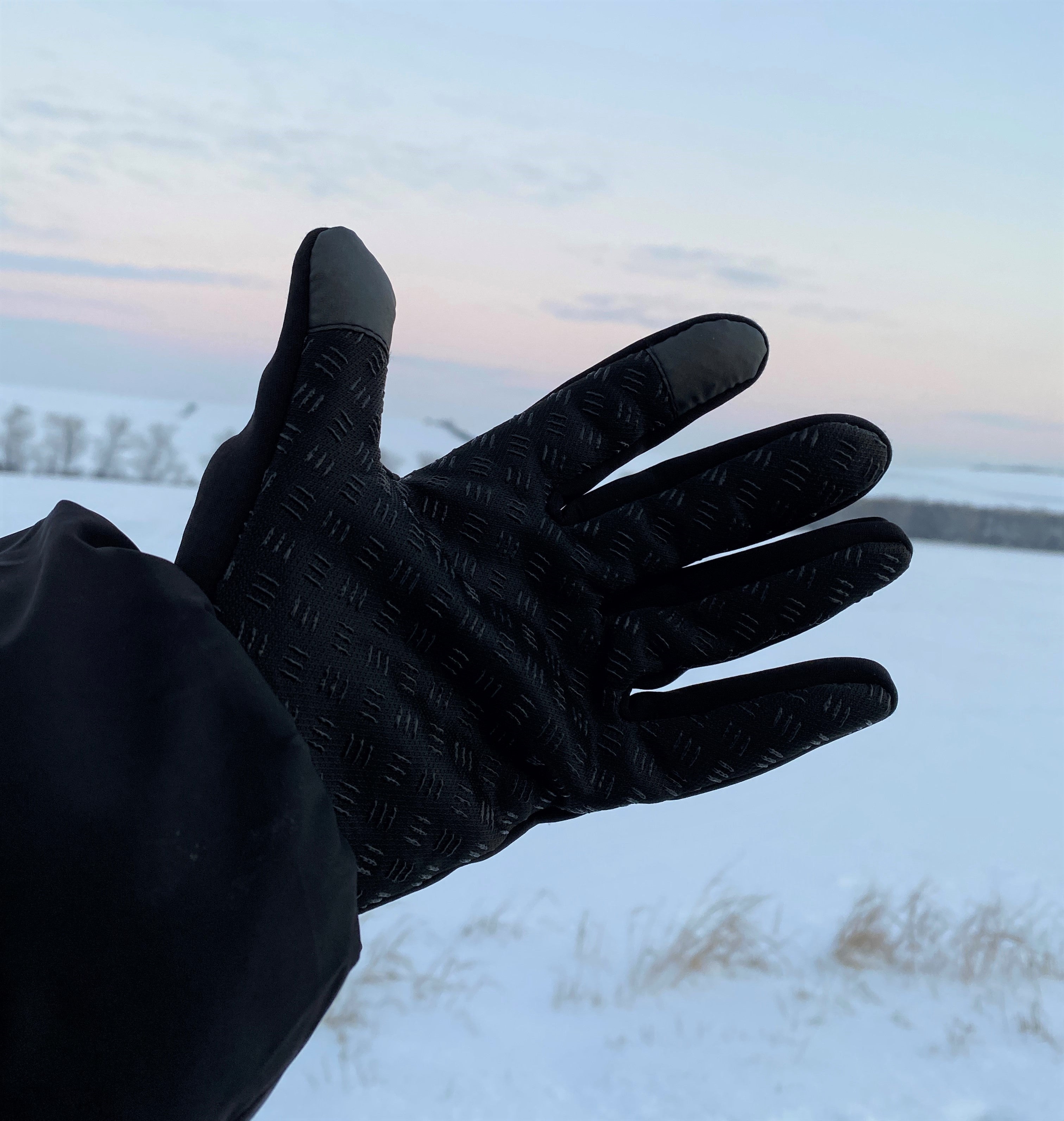 Winter gloves