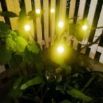 Solar Powered Firefly Light