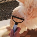 (Summer Hot Sale - 47% OFF)Pet Safe Dematting Comb