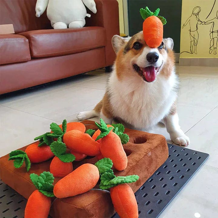 Calm canine Carrot Farm