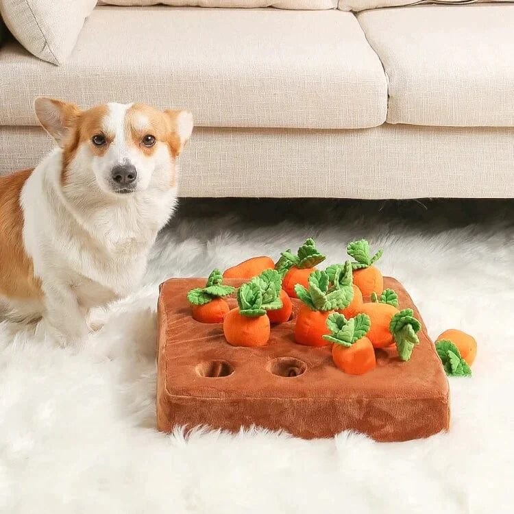 Calm canine Carrot Farm