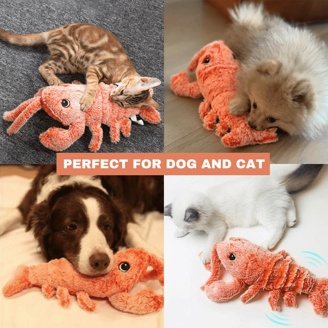 Floppy Lobster interactive dog toy