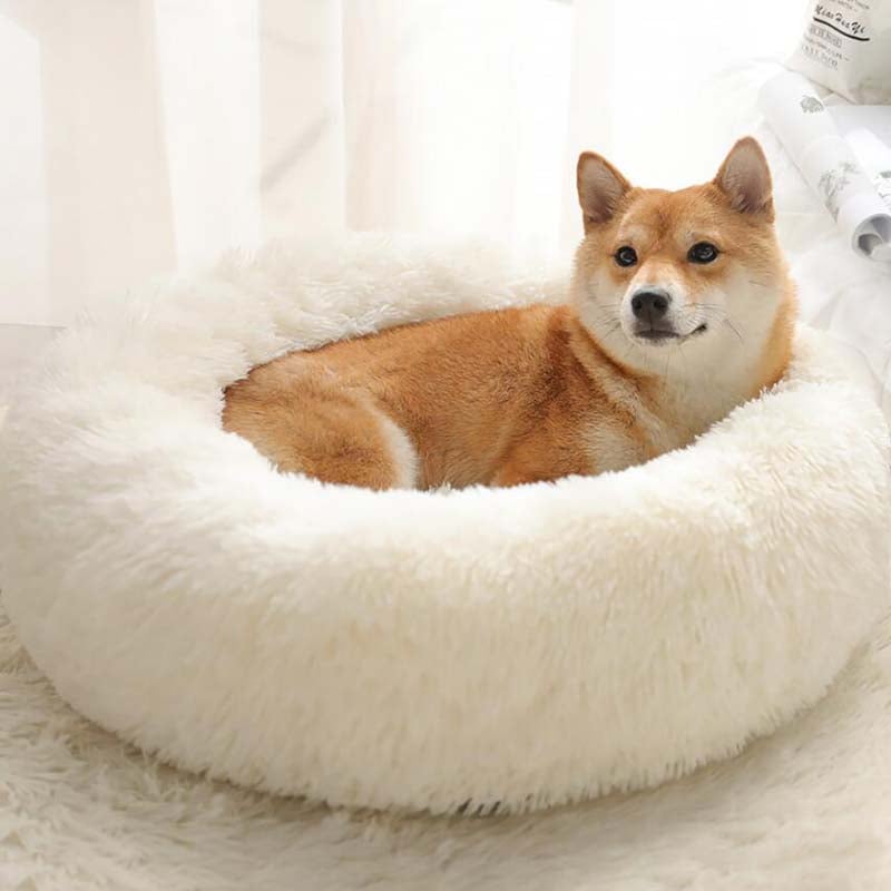 HOT SALE 50% OFF - Comfy Calming Dog/Cat Bed