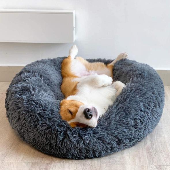 HOT SALE 50% OFF - Comfy Calming Dog/Cat Bed