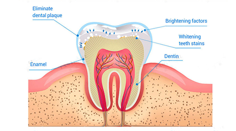 LANTHOME Teeth Whitening Essence