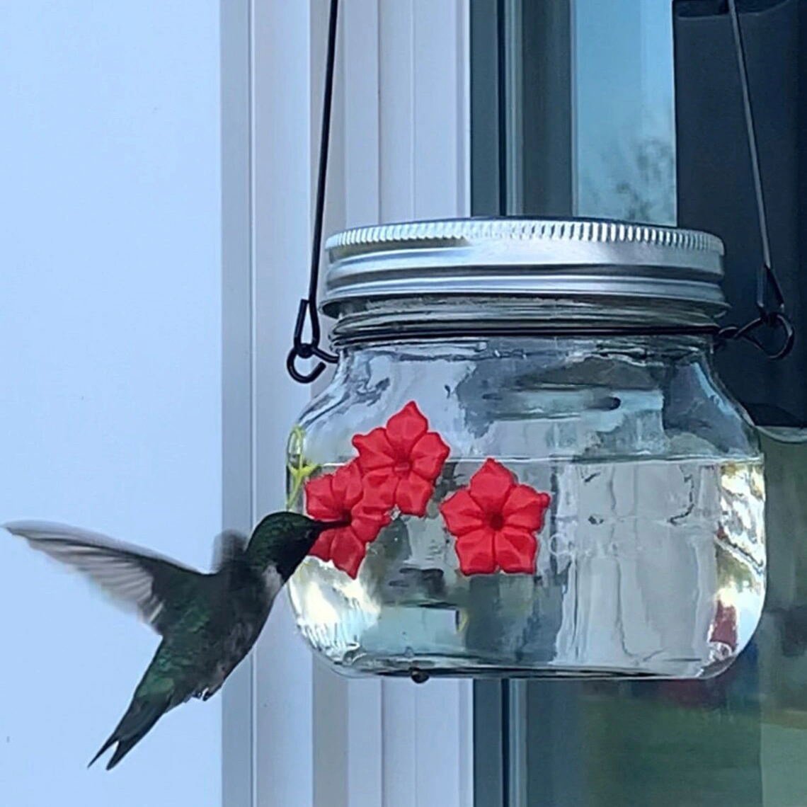 Last Day Promotion 50% OFF - Beautiful Mason Jar Hummingbird Feeder W/Three Ports