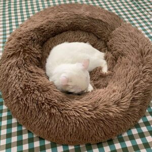 (Last Day Promotion 50% OFF!)-Comfy Calming Dog/Cat Bed