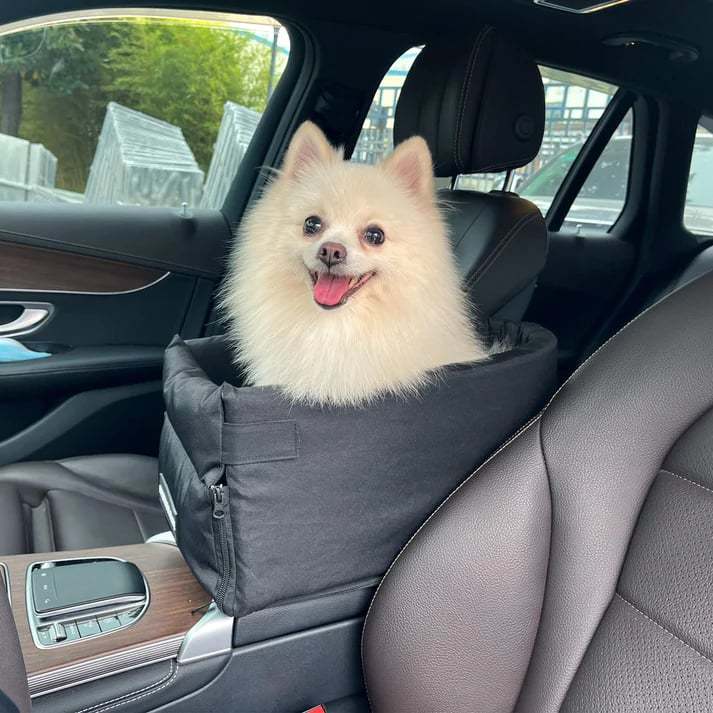 (LAST DAY PROMOTION 75% OFF) - UTOPICA PET CARPOOL SEAT