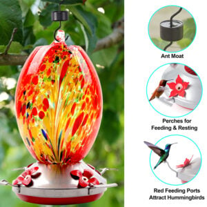 Libiyi Hummingbird Feeders