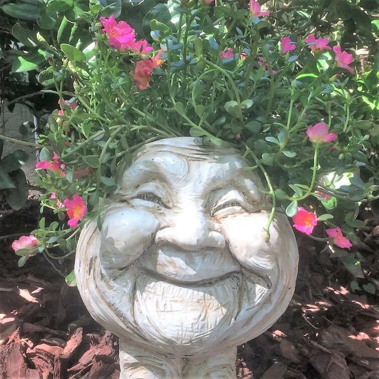 Mugglys Face Statue Planter - Happy New Year 49% OFF