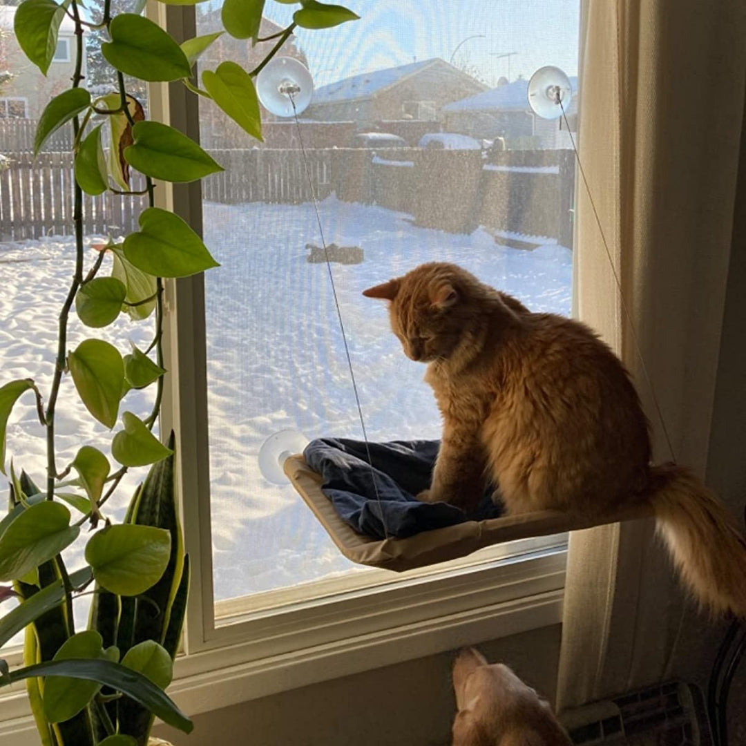 Nymock Indoor Cat Hammock