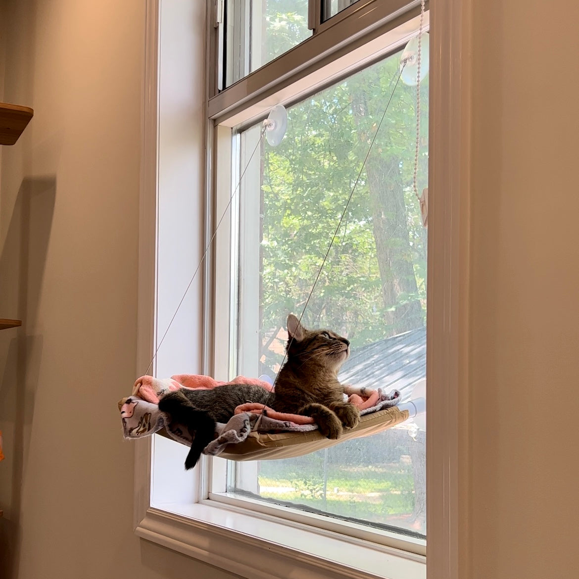 Nymock Indoor Cat Hammock