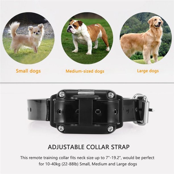 Pain Free Dog Training Collar - 50% Off Today Only!