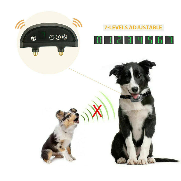 Pain Free Dog Training Collar - 50% Off Today Only!