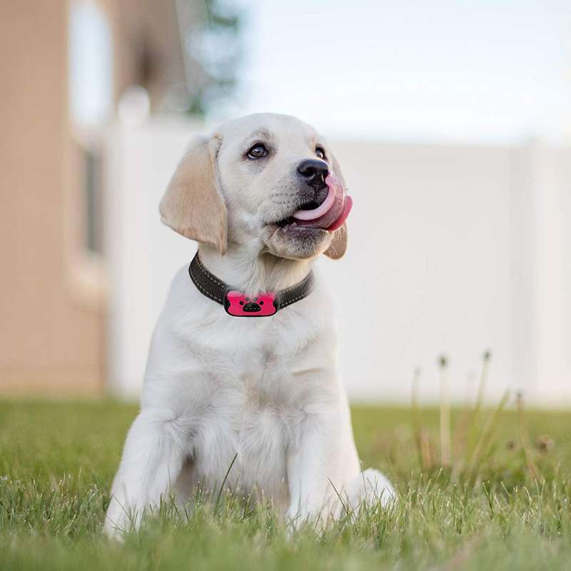 Omayli PuppyLove - Anti-Bark Collar