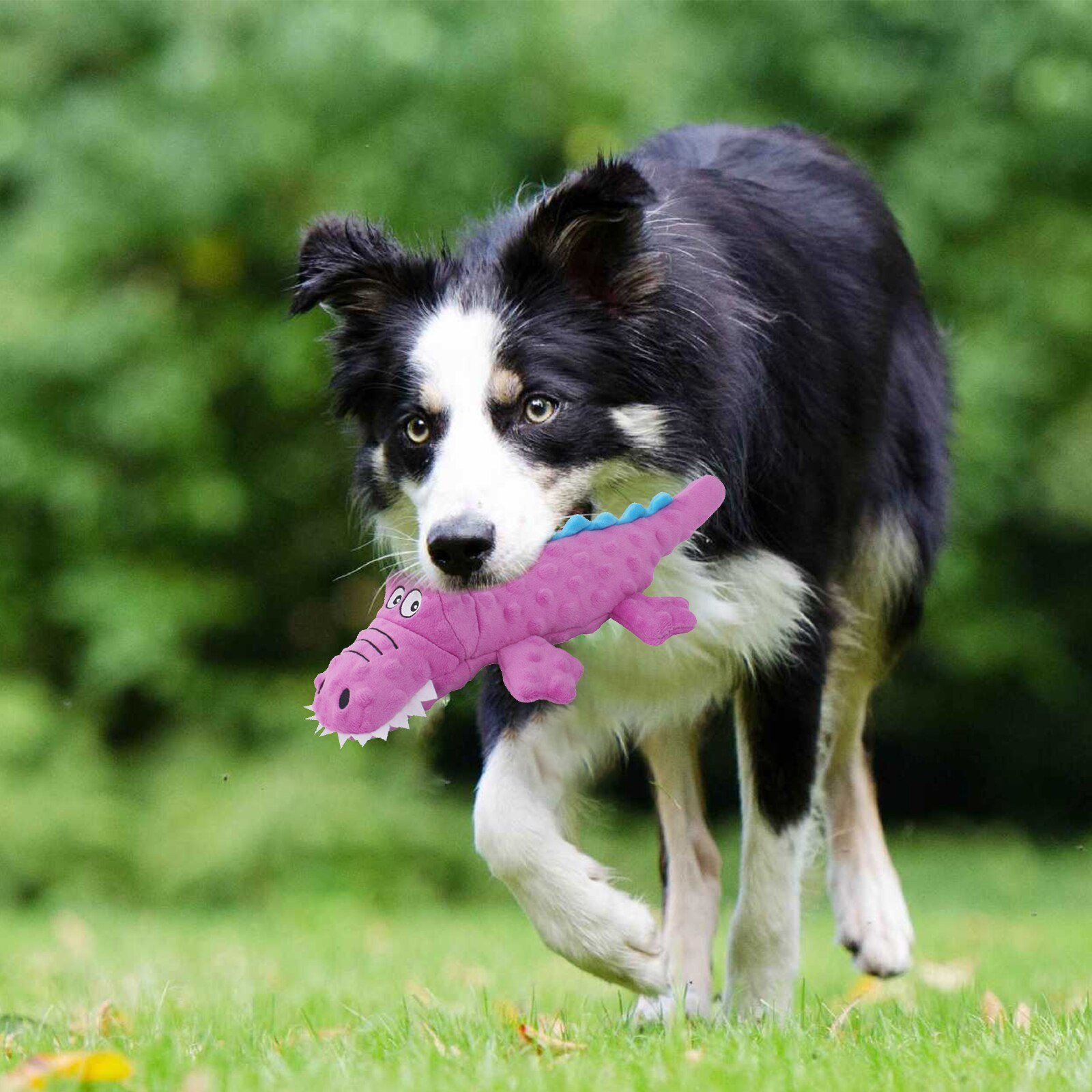 ROBUSTGATOR – INDESTRUCTIBLE SQUEAKY PLUSH TOY FOR AGGRESSIVE CHEWERS