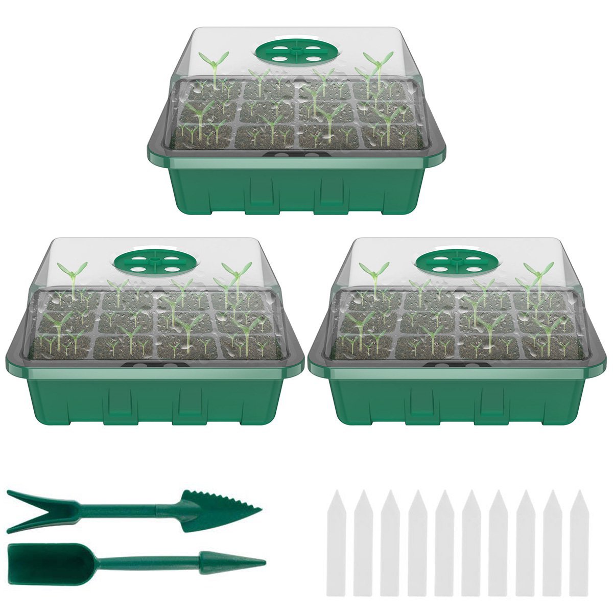 Seed Starter Trays with Grow Light