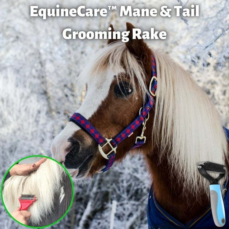 (45% OFF-Last 2 Days Promotion) Equine Care Mane & Tail Grooming Rake