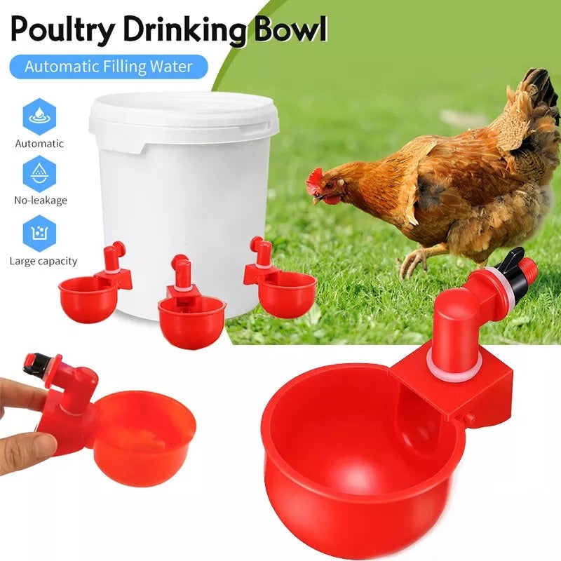 Automatic Chicken Water Cups