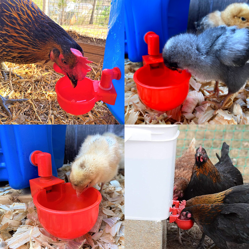 Automatic Chicken Water Cups