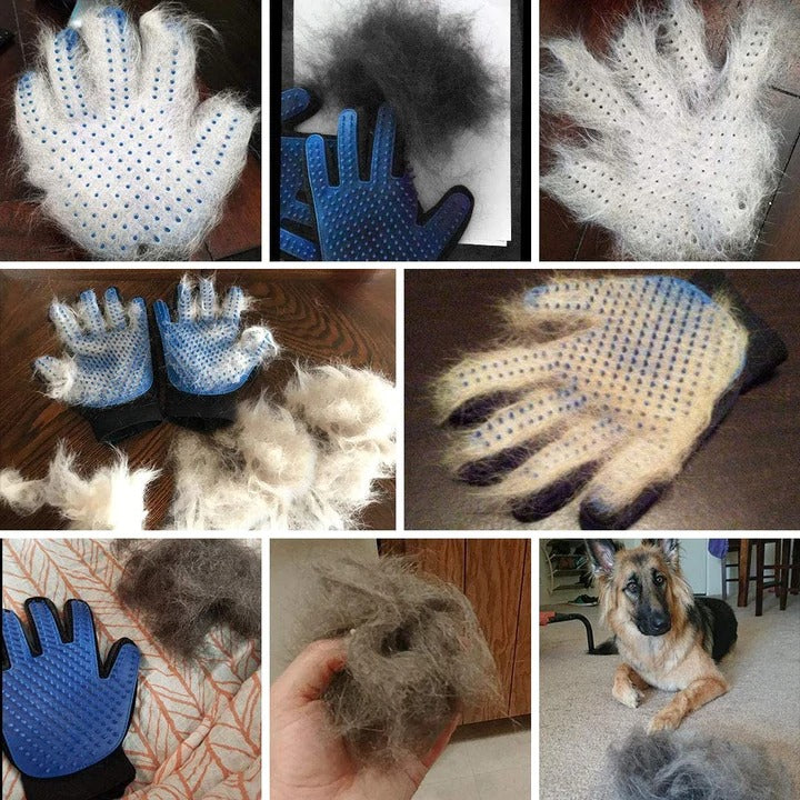 Biolisk Grooming Glove