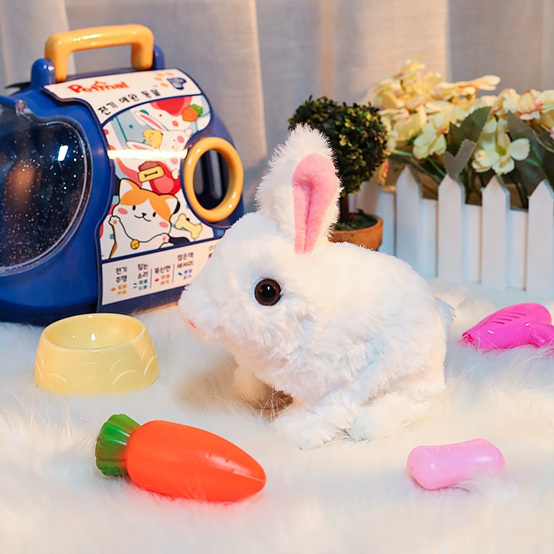 Bunny Toys Educational Interactive Toys Bunnies Can Walk and Talk - Hot Sale