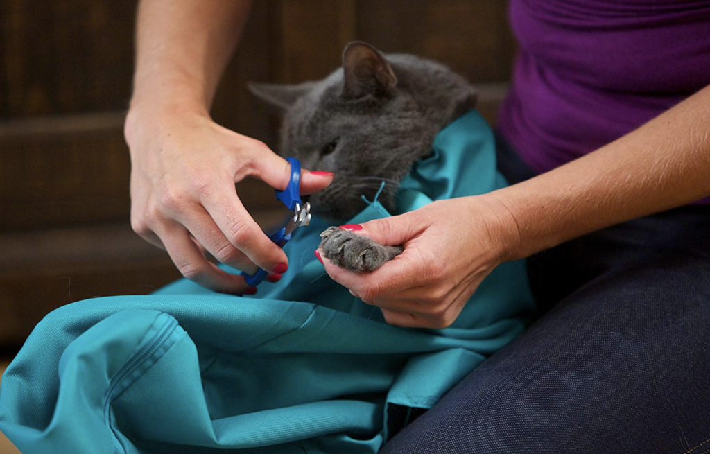 Buy One And Get One FREE - Cat Carrier Pouch