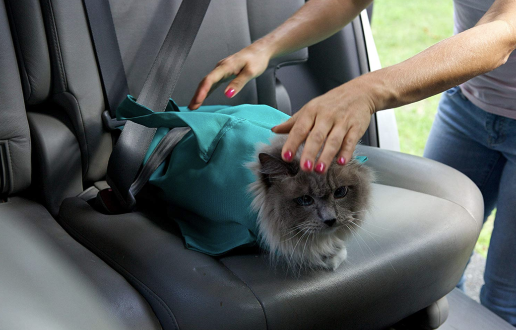 Buy One And Get One FREE - Cat Carrier Pouch