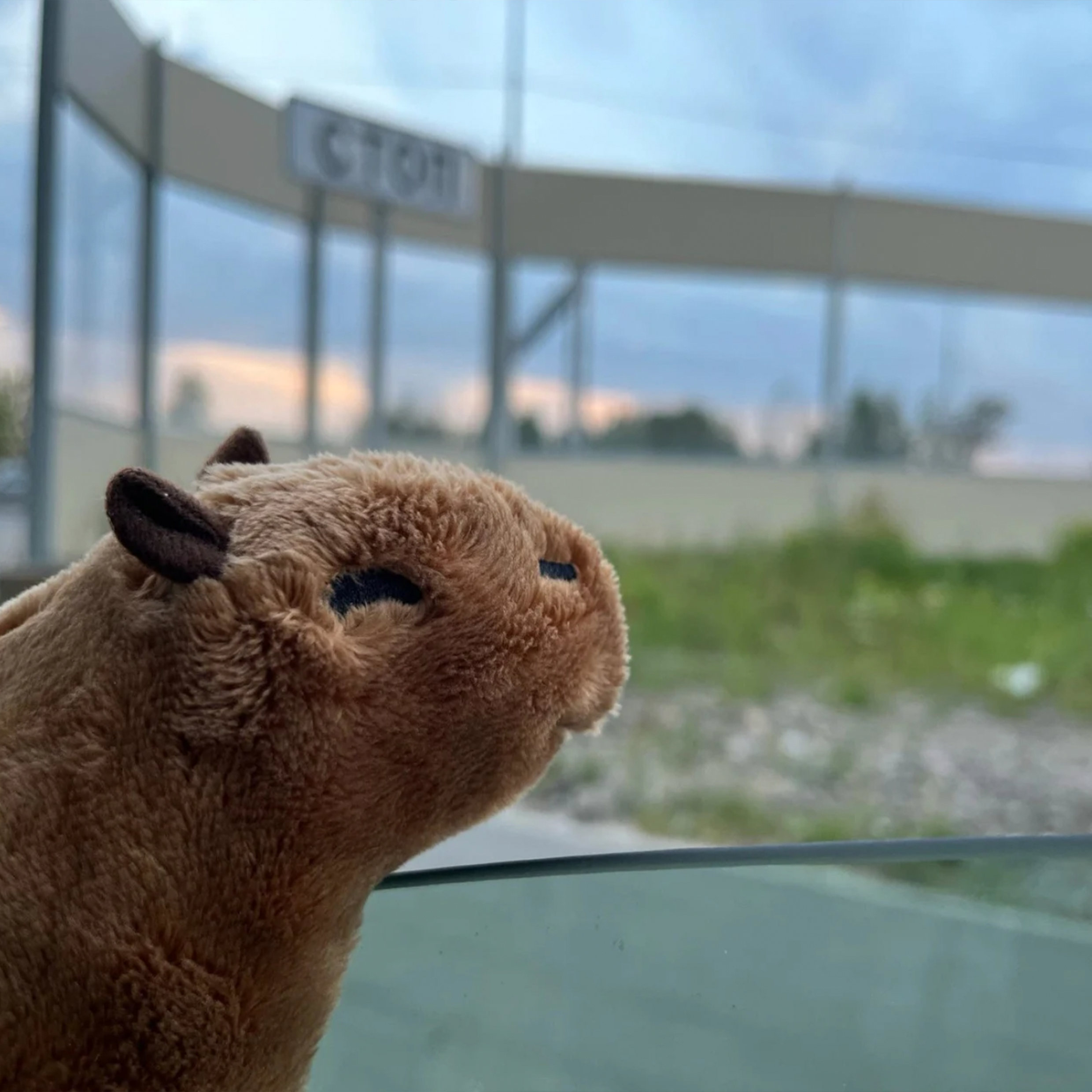 CapybaraPlush - Fluffy & Cute Plushie