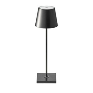 Casamee Cordless Table Lamp