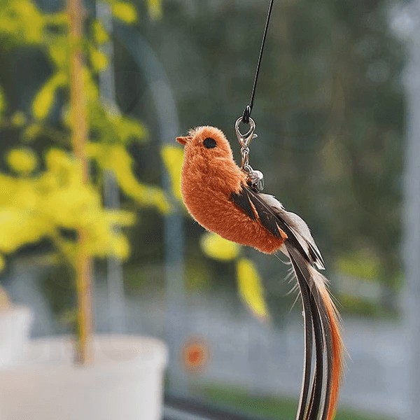 Discreet Pets Bird Simulation Cat Toy Set