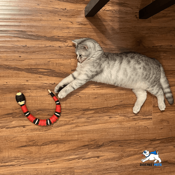 Discreet Pets Smart Snake Toy