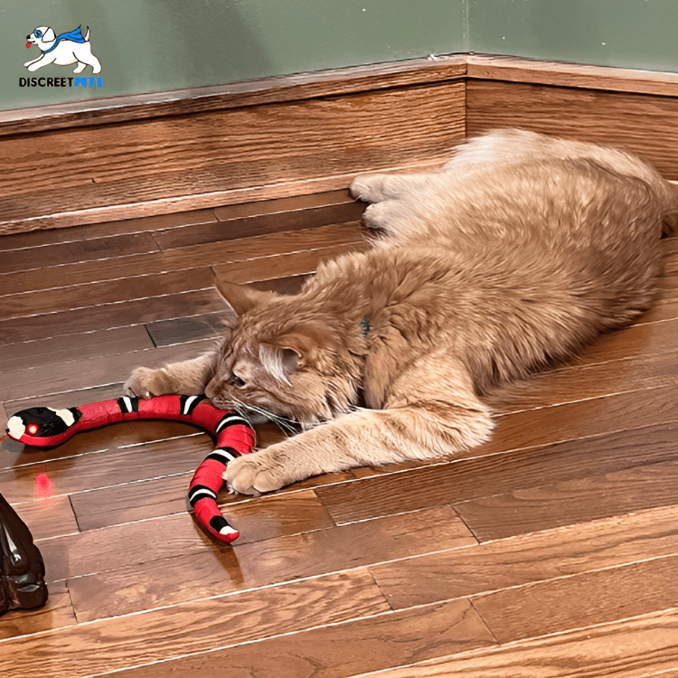 Discreet Pets Smart Snake Toy