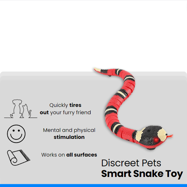 Discreet Pets Smart Snake Toy