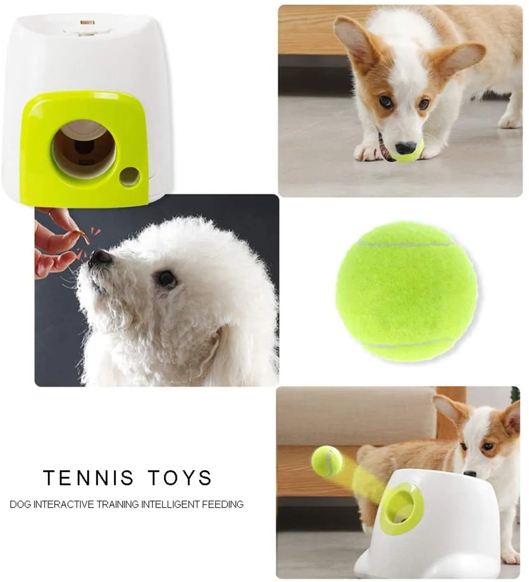 Dog tennis launcher